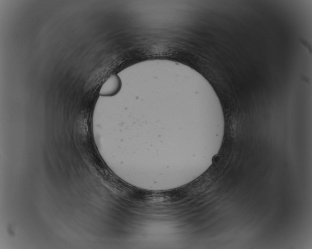 X0000103260746200809261138