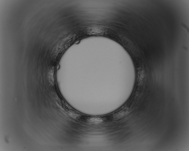 X0000103260749200809261138