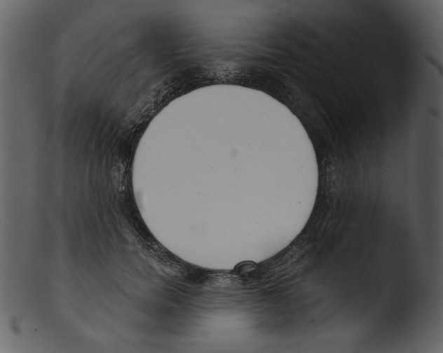 X0000103260750200809261138