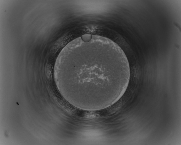 X0000103260754200809261138