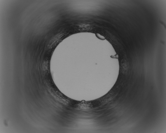 X0000103260756200809261138