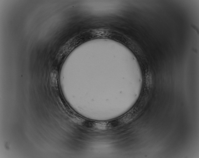 X0000103260757200809261138