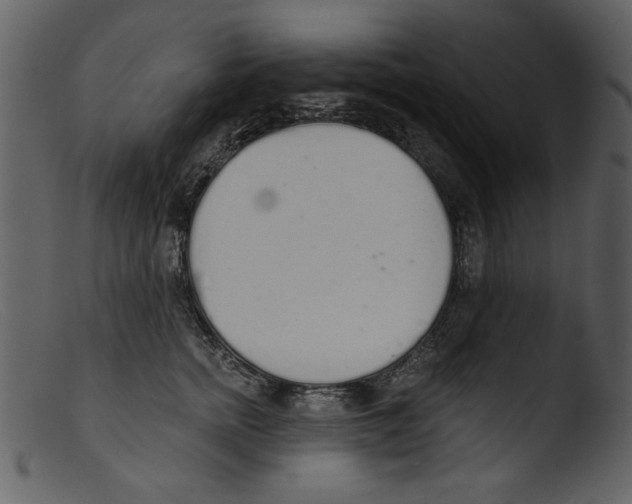 X0000103260758200809261138