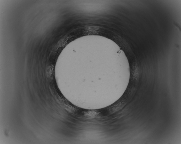 X0000103260759200809261139