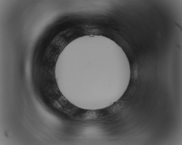 X0000103260764200809261139