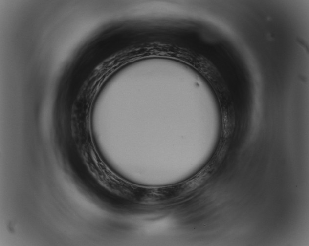 X0000103260765200809261139