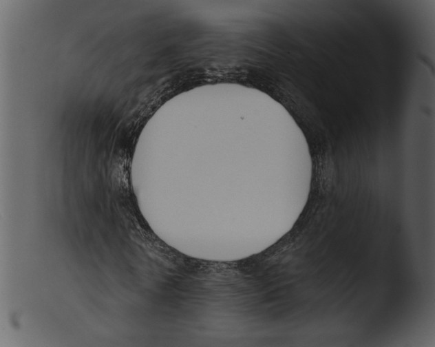 X0000103260770200809261138