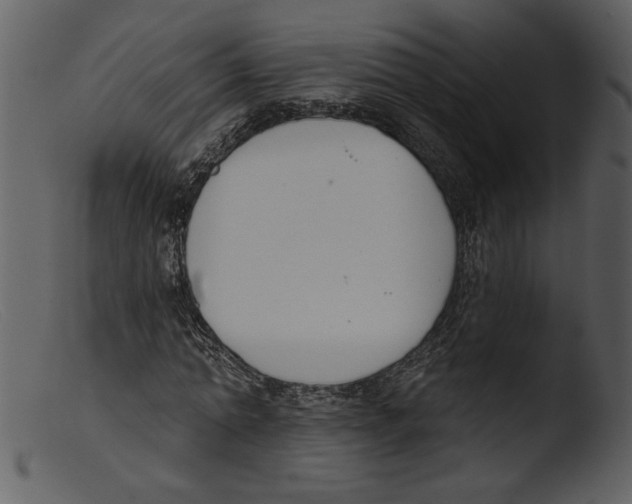 X0000103260774200809261138