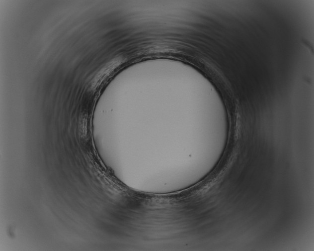 X0000103260777200809261138