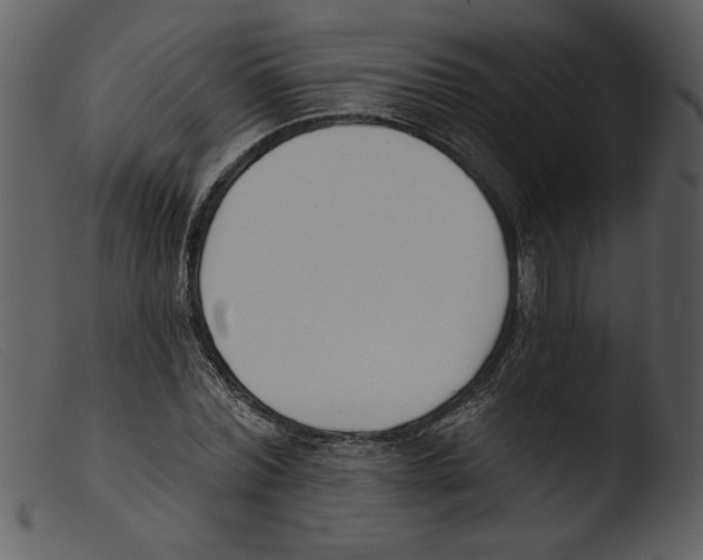 X0000103260780200809261138