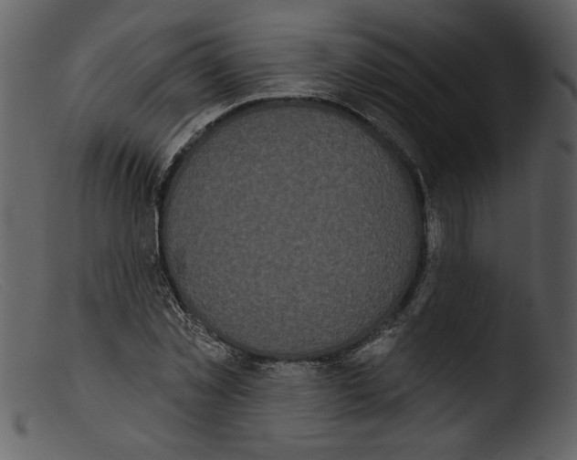 X0000103260781200809261138