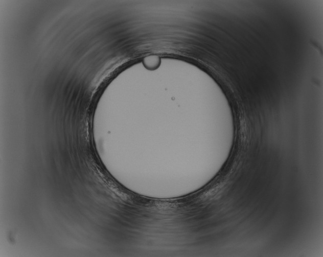 X0000103260782200809261138