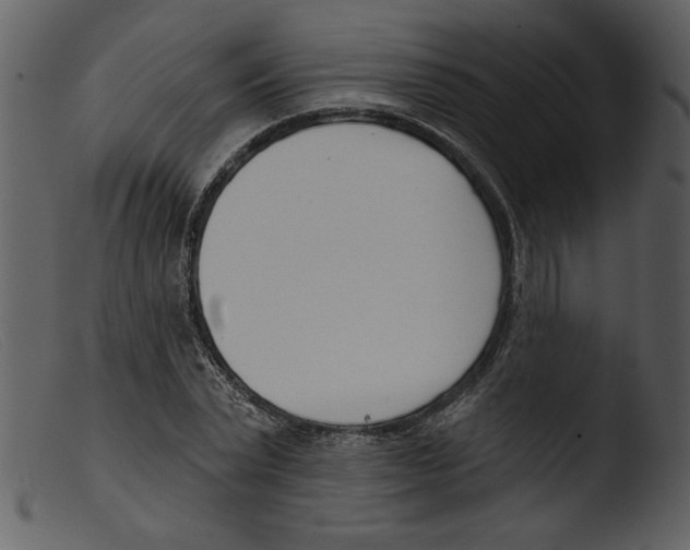 X0000103260783200809261138