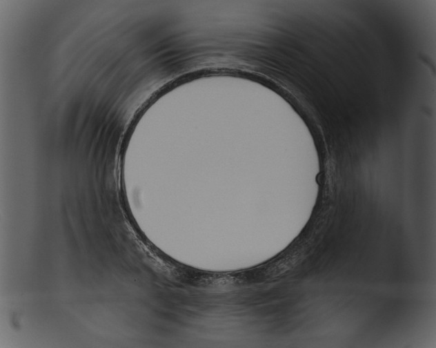 X0000103260791200809261138