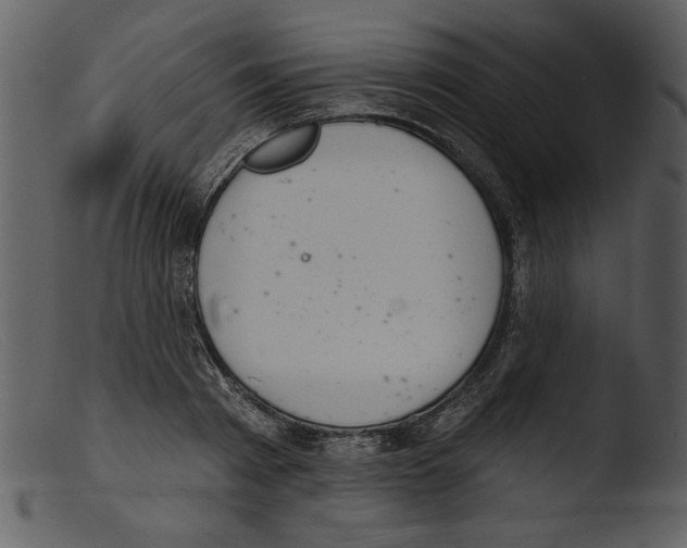 X0000103260793200809261138