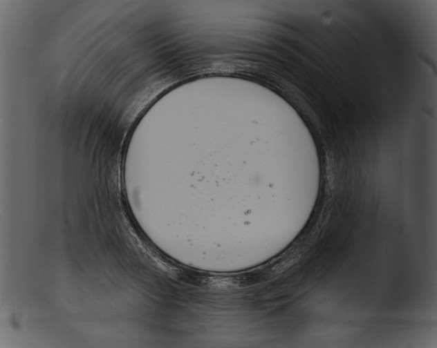 X0000103260794200809261138