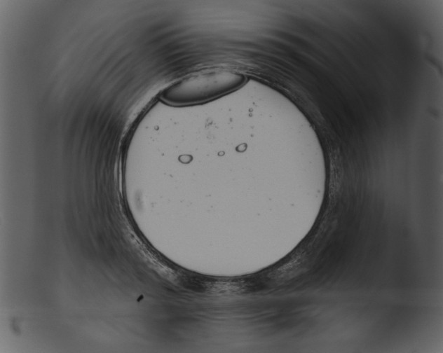 X0000103260796200809261138