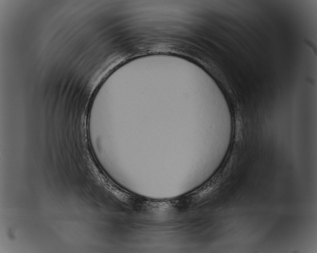 X0000103260798200809261138