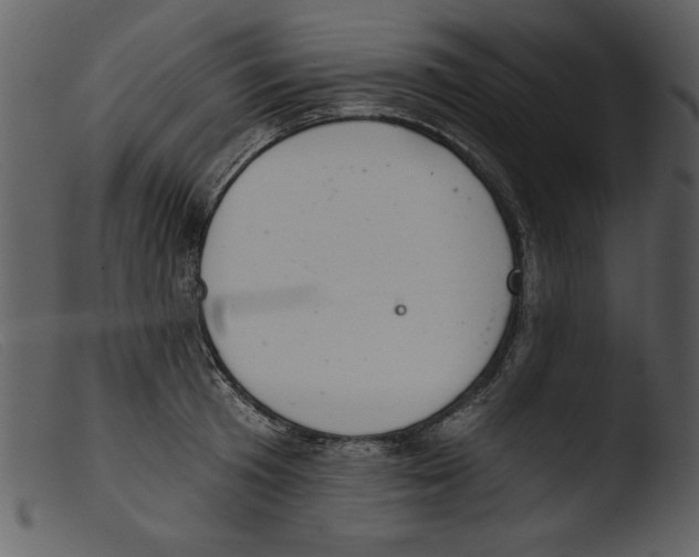 X0000103260801200809261138