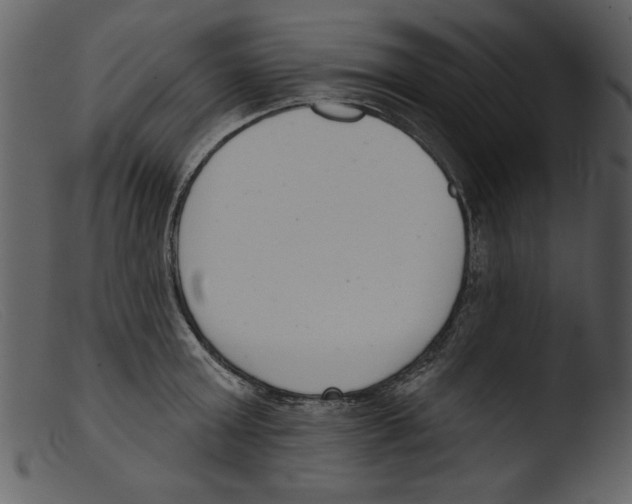 X0000103260803200809261138