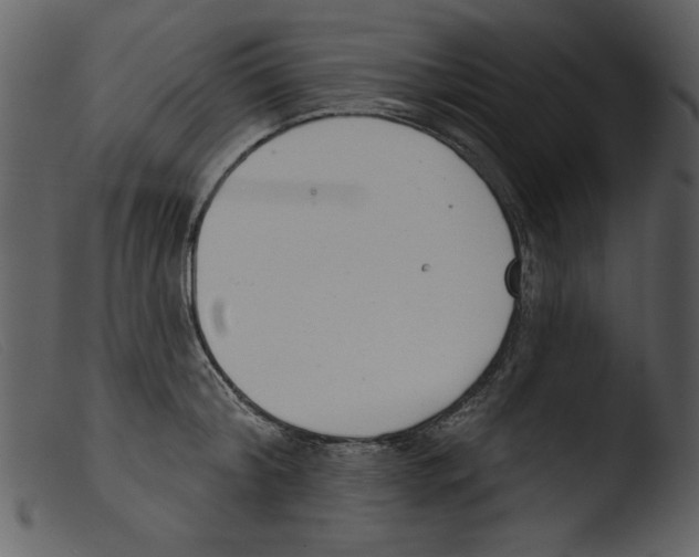 X0000103260804200809261137