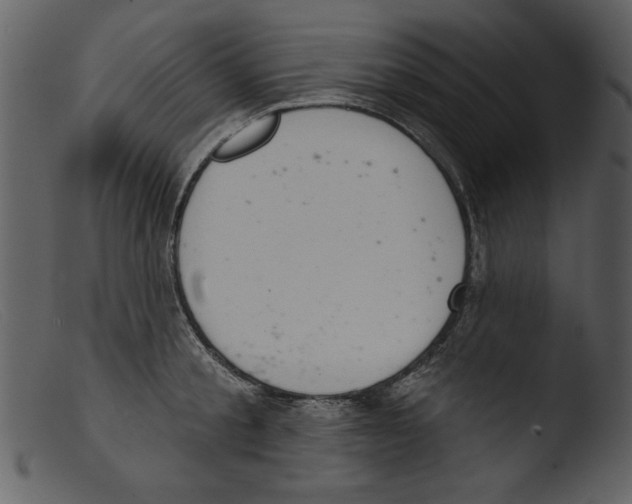 X0000103260805200809261137