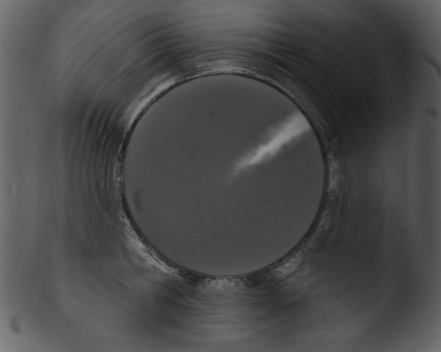 X0000103260806200809261137