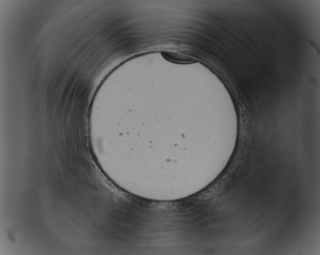 X0000103260808200809261137