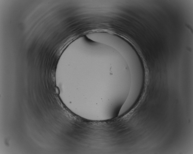 X0000103260809200809261137