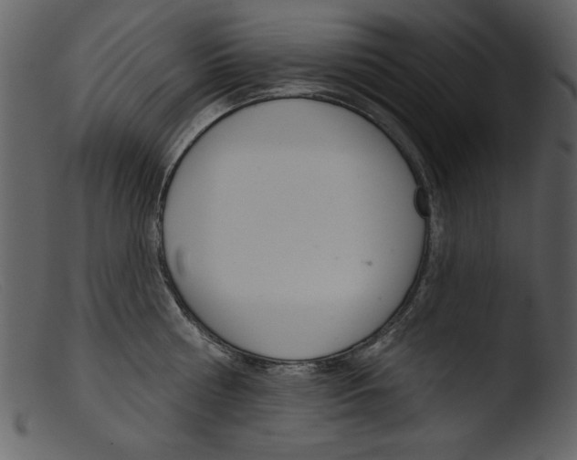 X0000103260810200809261137