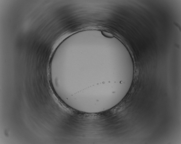 X0000103260811200809261137