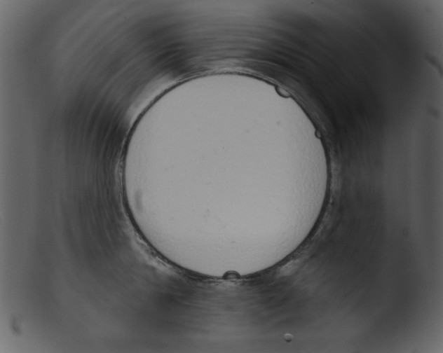 X0000103260814200809261137