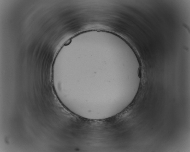 X0000103260815200809261137