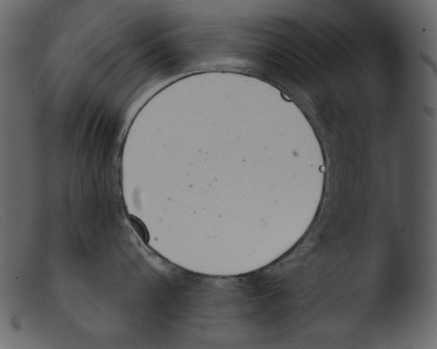 X0000103260816200809261137