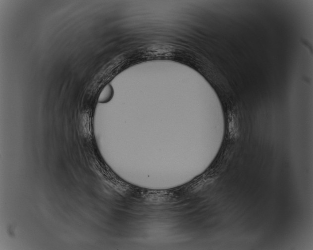 X0000103260819200809261137