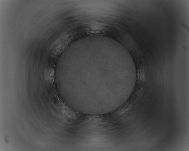 X0000103260820200809261137