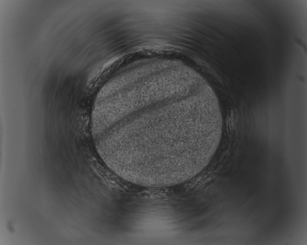 X0000103260822200809261137