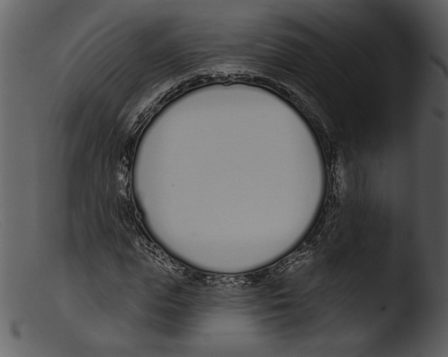 X0000103260823200809261137