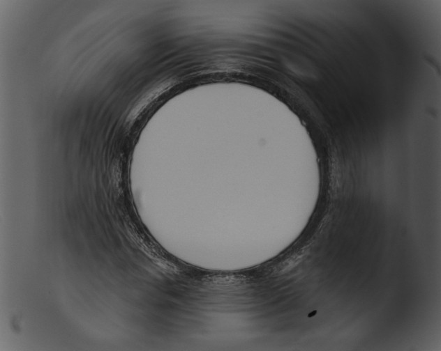 X0000103260826200809261137