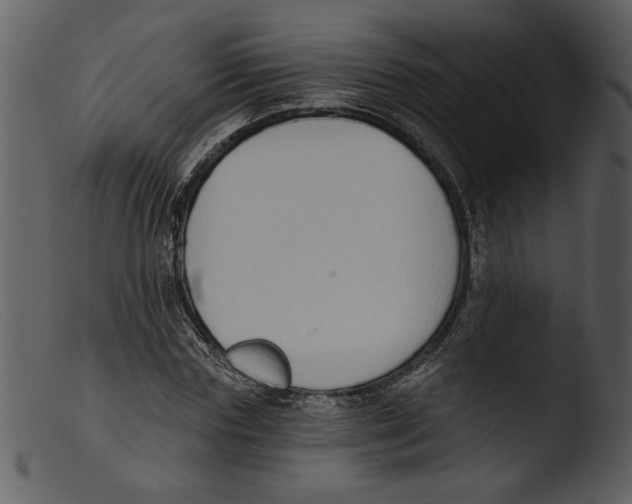 X0000103260827200809261137