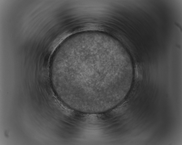 X0000103260828200809261137