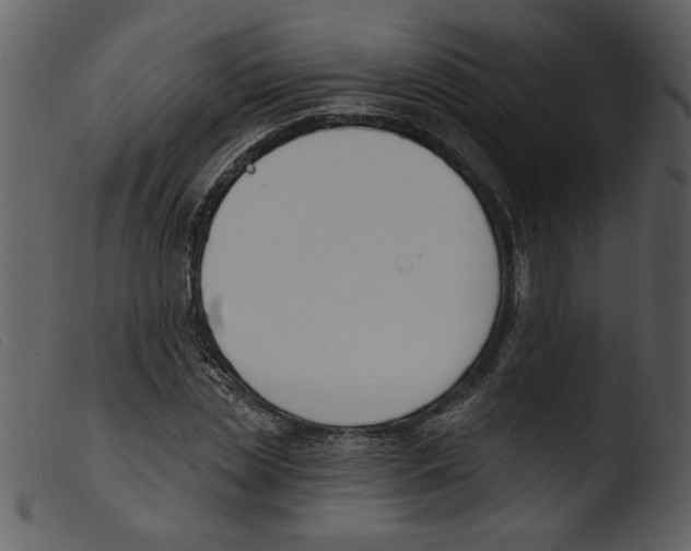 X0000103260829200809261137