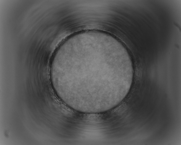 X0000103260832200809261137