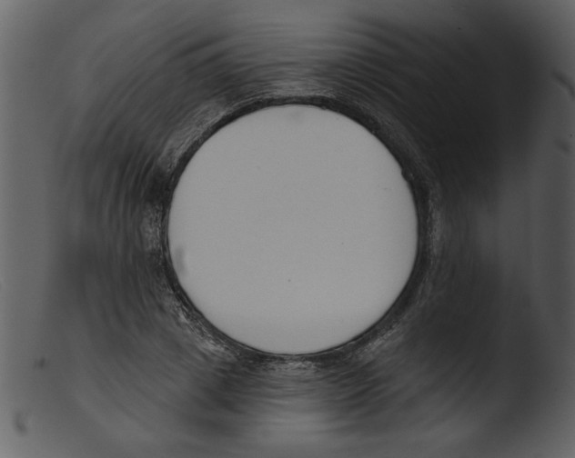 X0000103260833200809261137