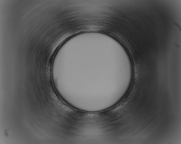 X0000103260835200809261137