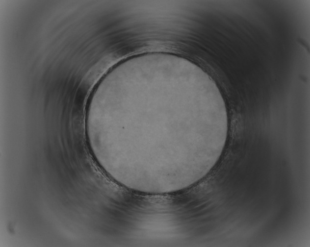 X0000103260836200809261137