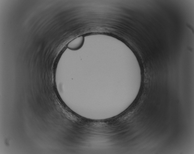 X0000103260837200809261137