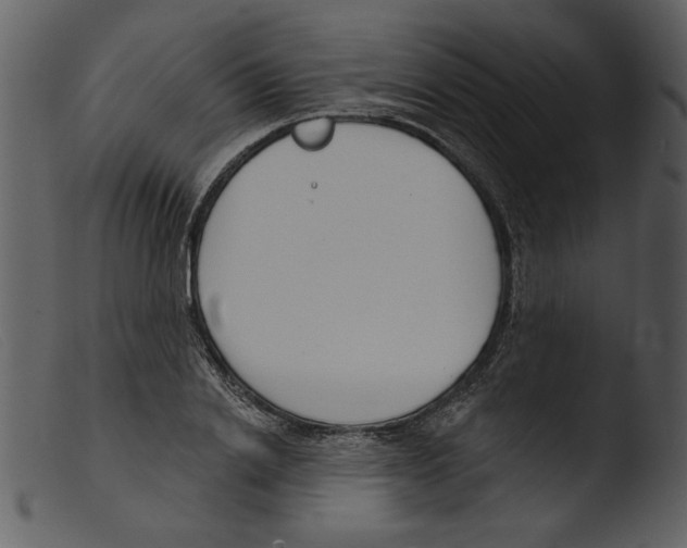 X0000103260838200809261137