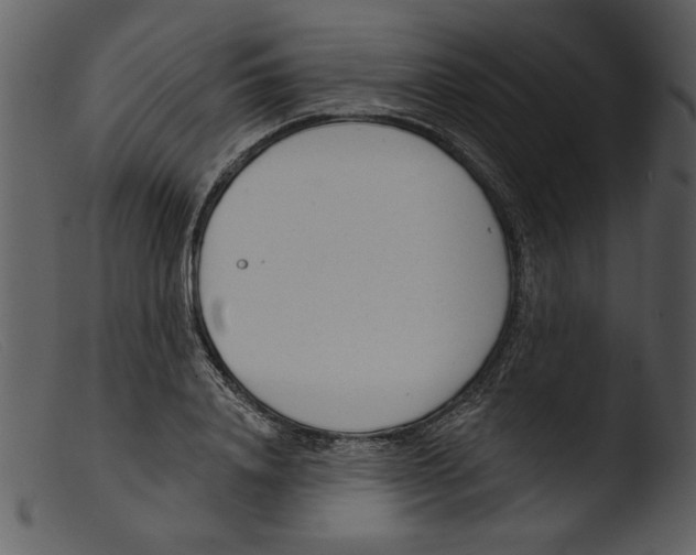 X0000103260840200809261137