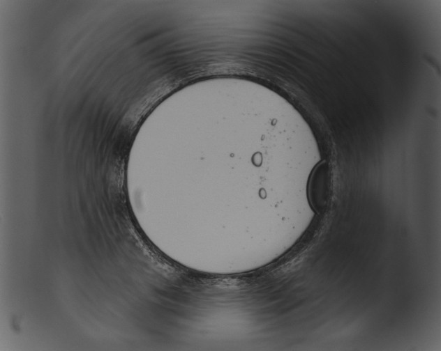 X0000103260841200809261137